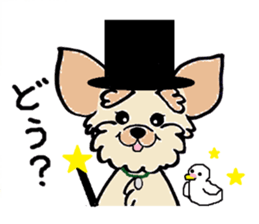 Muffin (Yorkshire Terrier) sticker #5999135