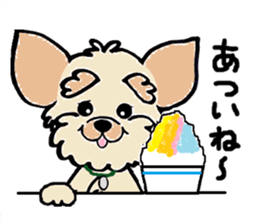 Muffin (Yorkshire Terrier) sticker #5999138