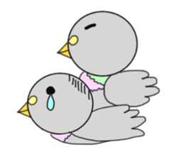 Pigeon and sparrow sticker #5999997