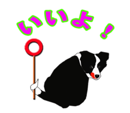 My boeder collie. sticker #6000995