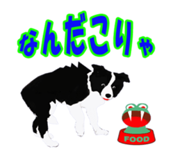 My boeder collie. sticker #6001010