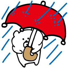 rainy bear