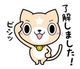 APPRENTICE CAT'S DAILY sticker #6001384