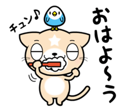 APPRENTICE CAT'S DAILY sticker #6001385