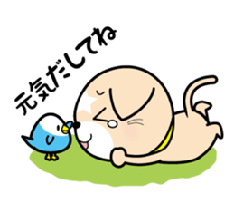 APPRENTICE CAT'S DAILY sticker #6001404