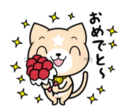 APPRENTICE CAT'S DAILY sticker #6001408