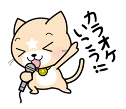 APPRENTICE CAT'S DAILY sticker #6001411