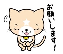 APPRENTICE CAT'S DAILY sticker #6001416