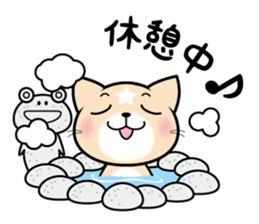 APPRENTICE CAT'S DAILY sticker #6001422