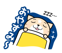 APPRENTICE CAT'S DAILY sticker #6001423