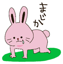 Sticker of a little fat rabbit sticker #6003178