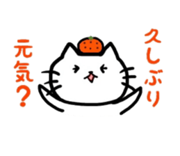 orange and cat. Happy New Year. sticker #6003621