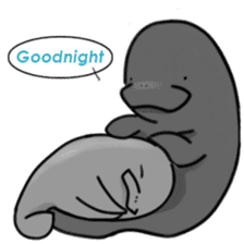 Manatee family - Daddy & Kiddy sticker #6009022