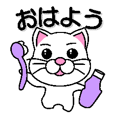 white cat everyday 1