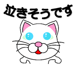 white cat everyday 1 sticker #6009295