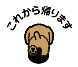 brown toy poodle sticker #6010990