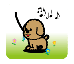 brown toy poodle sticker #6010995