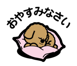 brown toy poodle sticker #6010996