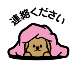 brown toy poodle sticker #6010999