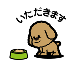 brown toy poodle sticker #6011001