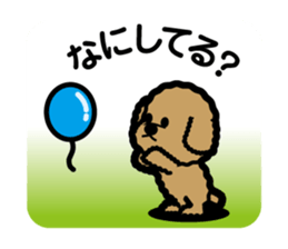 brown toy poodle sticker #6011011
