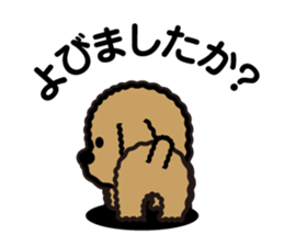 brown toy poodle sticker #6011015