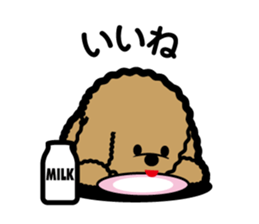 brown toy poodle sticker #6011018