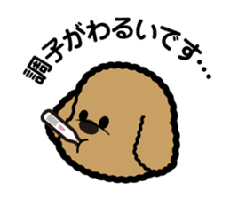 brown toy poodle sticker #6011020