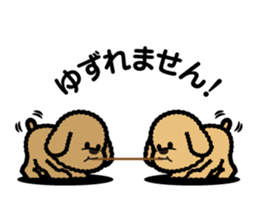 brown toy poodle sticker #6011021