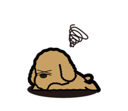 brown toy poodle sticker #6011022