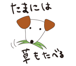 Jack Russell Terrier's Sticker sticker #6011849