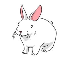 Rabbit lacks motivation2 sticker #6012497