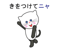 Cat such as human. his name is Tama. sticker #6012754