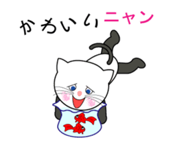 Cat such as human. his name is Tama. sticker #6012757