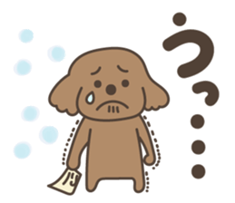 toy-poodle KEY sticker #6014161