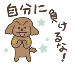 toy-poodle KEY sticker #6014165