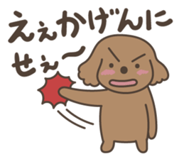 toy-poodle KEY sticker #6014181