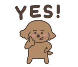 toy-poodle KEY sticker #6014182