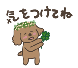 toy-poodle KEY sticker #6014183