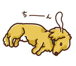 Circumstances of KARUBI ver.3 sticker #6014607