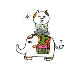 Yoga tortoiseshell cat sticker #6014823