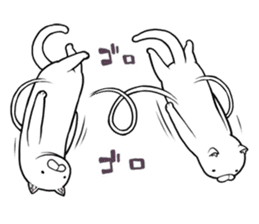 a long-bodied cat sticker #6017037