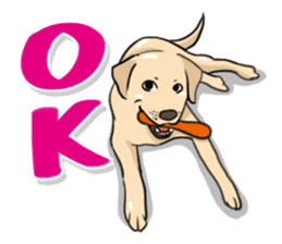 Joey the Labrador Retriever sticker #6017224