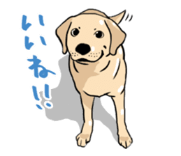 Joey the Labrador Retriever sticker #6017226