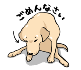 Joey the Labrador Retriever sticker #6017227