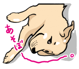 Joey the Labrador Retriever sticker #6017230
