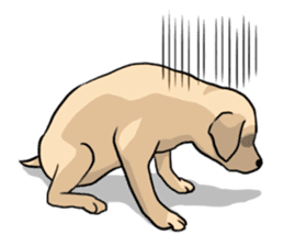 Joey the Labrador Retriever sticker #6017234