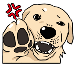 Joey the Labrador Retriever sticker #6017235