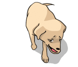 Joey the Labrador Retriever sticker #6017236