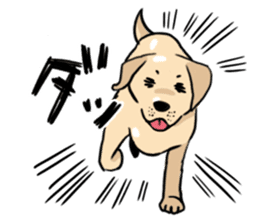 Joey the Labrador Retriever sticker #6017237
